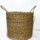 Banana Botanical Big Basket