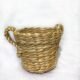 Banana Botanical Basket