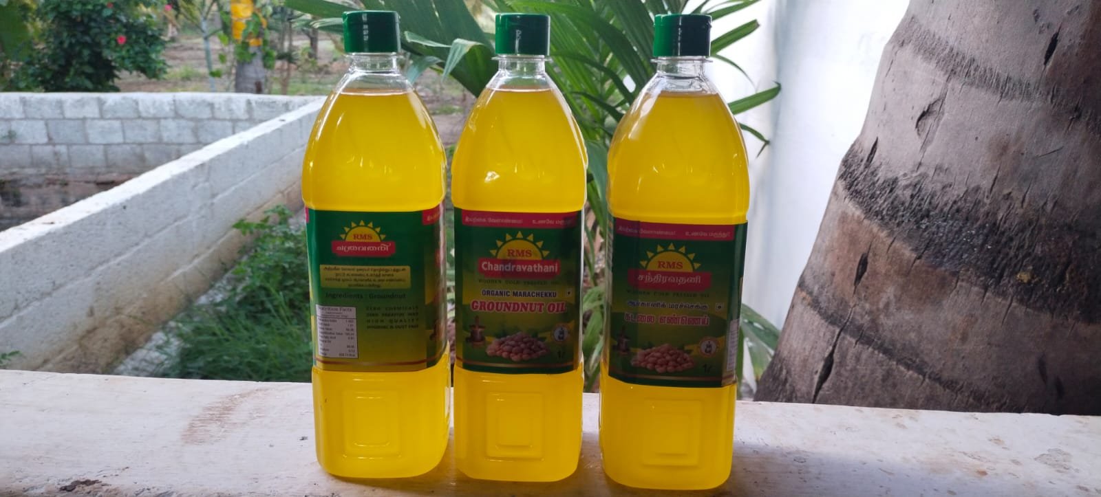 Organic Groundnut Oil